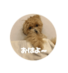 ぼりす(0)（個別スタンプ：8）