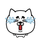 ふしぎな犬ねこ（個別スタンプ：5）