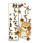 【Big】柴犬さん 『秋』2025（個別スタンプ：2）