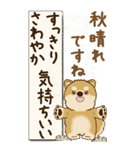 【Big】柴犬さん 『秋』2025（個別スタンプ：3）