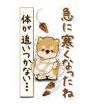 【Big】柴犬さん 『秋』2025（個別スタンプ：7）