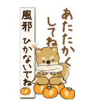 【Big】柴犬さん 『秋』2025（個別スタンプ：8）
