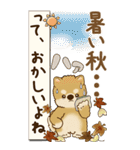 【Big】柴犬さん 『秋』2025（個別スタンプ：9）