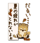 【Big】柴犬さん 『秋』2025（個別スタンプ：10）