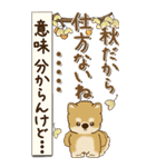 【Big】柴犬さん 『秋』2025（個別スタンプ：12）
