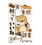 【Big】柴犬さん 『秋』2025（個別スタンプ：17）