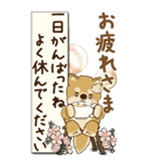 【Big】柴犬さん 『秋』2025（個別スタンプ：22）