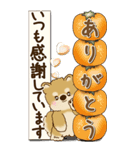 【Big】柴犬さん 『秋』2025（個別スタンプ：25）