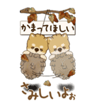 【Big】柴犬さん 『秋』2025（個別スタンプ：31）