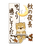 【Big】柴犬さん 『秋』2025（個別スタンプ：35）