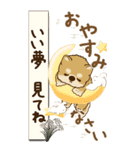 【Big】柴犬さん 『秋』2025（個別スタンプ：37）