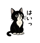 ハチワレ猫の毎日スタンプ2（個別スタンプ：2）