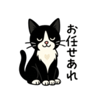 ハチワレ猫の毎日スタンプ2（個別スタンプ：4）