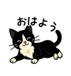 ハチワレ猫の毎日スタンプ2（個別スタンプ：21）