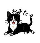 ハチワレ猫の毎日スタンプ2（個別スタンプ：22）
