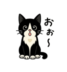 ハチワレ猫の毎日スタンプ2（個別スタンプ：26）