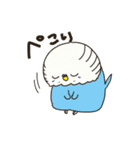 セキセイインコのアルとテン7（個別スタンプ：8）