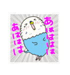 セキセイインコのアルとテン7（個別スタンプ：15）