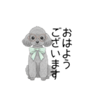 トイプードル（使いやすい敬語）（個別スタンプ：1）