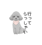 トイプードル（使いやすい敬語）（個別スタンプ：5）