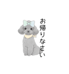 トイプードル（使いやすい敬語）（個別スタンプ：7）