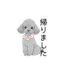 トイプードル（使いやすい敬語）（個別スタンプ：8）