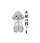 トイプードル（使いやすい敬語）（個別スタンプ：9）