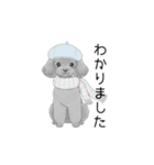 トイプードル（使いやすい敬語）（個別スタンプ：12）