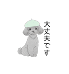 トイプードル（使いやすい敬語）（個別スタンプ：13）