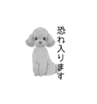 トイプードル（使いやすい敬語）（個別スタンプ：14）