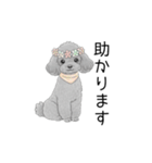 トイプードル（使いやすい敬語）（個別スタンプ：15）