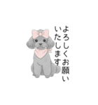 トイプードル（使いやすい敬語）（個別スタンプ：16）