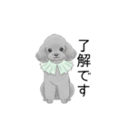 トイプードル（使いやすい敬語）（個別スタンプ：18）