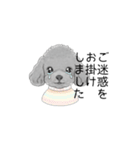 トイプードル（使いやすい敬語）（個別スタンプ：24）