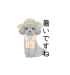 トイプードル（使いやすい敬語）（個別スタンプ：27）