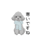 トイプードル（使いやすい敬語）（個別スタンプ：28）