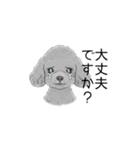トイプードル（使いやすい敬語）（個別スタンプ：29）