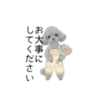 トイプードル（使いやすい敬語）（個別スタンプ：30）