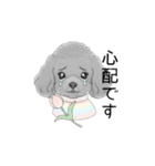 トイプードル（使いやすい敬語）（個別スタンプ：31）
