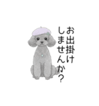 トイプードル（使いやすい敬語）（個別スタンプ：32）