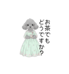 トイプードル（使いやすい敬語）（個別スタンプ：34）