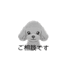 トイプードル（使いやすい敬語）（個別スタンプ：40）