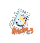 柴犬ハルver7（個別スタンプ：2）