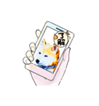 柴犬ハルver7（個別スタンプ：4）