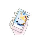 柴犬ハルver7（個別スタンプ：5）