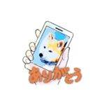 柴犬ハルver7（個別スタンプ：8）