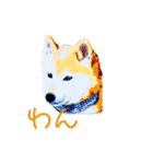 柴犬ハルver7（個別スタンプ：9）