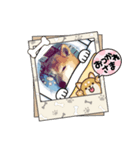 柴犬ハルver7（個別スタンプ：36）