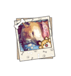 柴犬ハルver7（個別スタンプ：38）