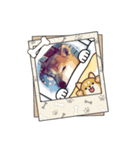 柴犬ハルver7（個別スタンプ：39）